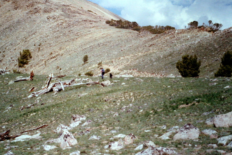 The upper end of Corral Creek is covered by high altitude meadows making it the route of choice for Cabin Peak.