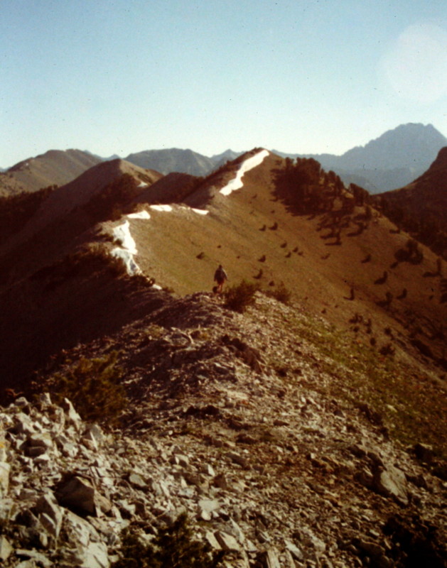 The south ridge of Washington Peak is traversed by a goat trail and offers an easy climb to the summit.