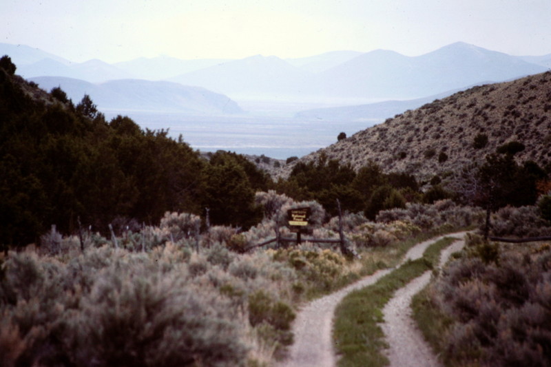 Kelsaw Canyon at the southwest corner of the range is the primary access point for the main crest. The two track was in good shape when I travelled it.