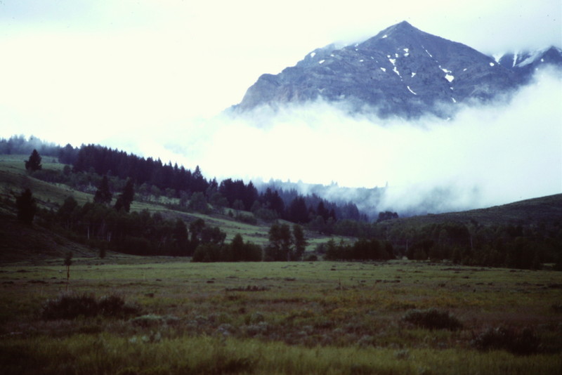 Easley Peak on a foggy morning from Spring Creek.