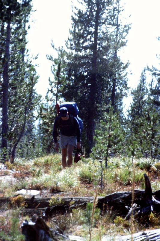 Hiking in the Selway Crags runs the spectrum from open terrain to moderately forest terrain. Trails range from well marked to hard to find.