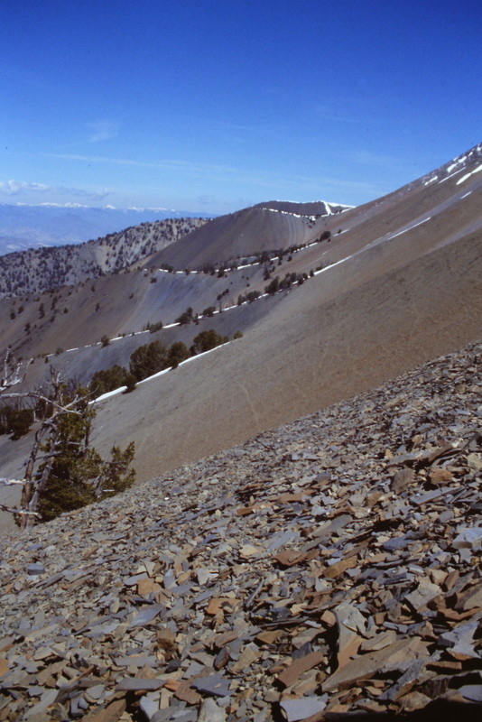 Once above treeline on the west face route, the view begins to open up and you can look north across the face of the range.