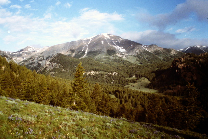 This view is from the Pass Creek Summit area.