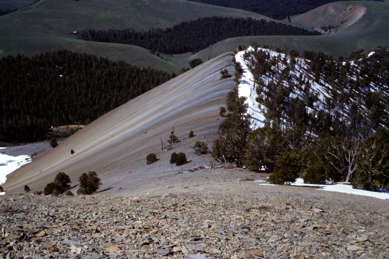 Looking back down the West Rib from midway up the face.