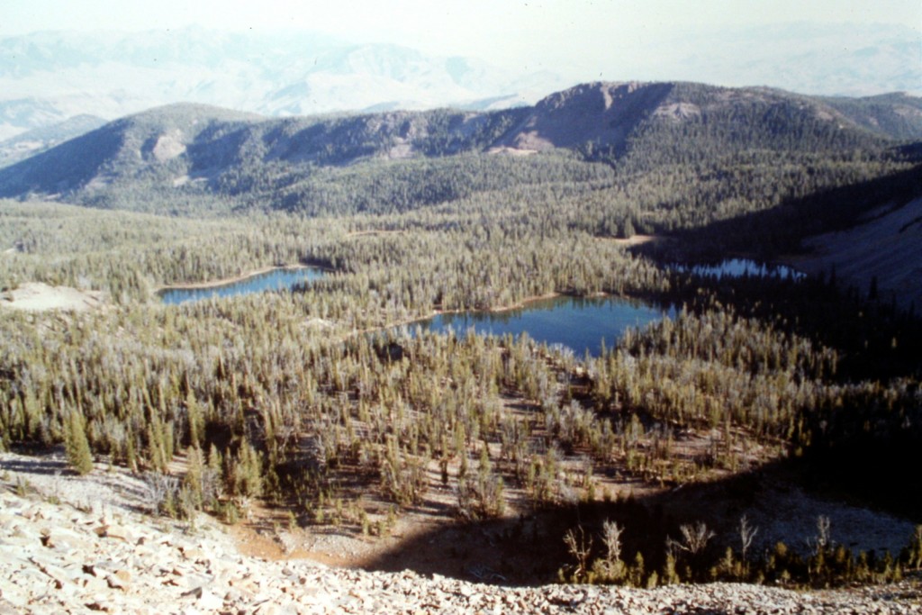 Hat Creek lakes viewed from the summit of Taylor Mountain.