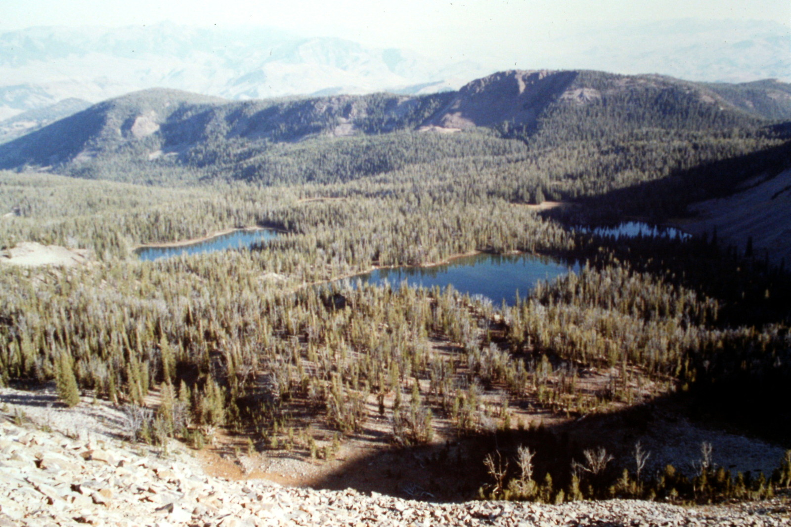 Taylor Mountain IDAHO A Climbing Guide