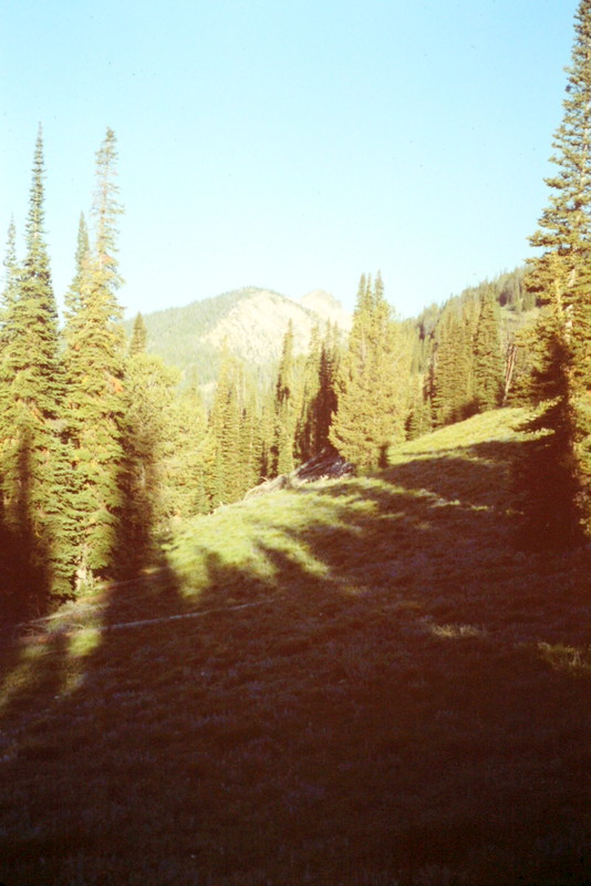 This photo gives you an idea of the terrain along the Big Baldy Ridge Trail.