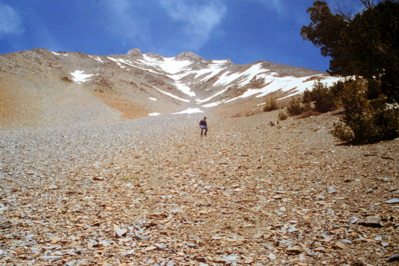 The higher you climb, the more talus you find. At this point it is time to cross over the the peak's west rib to the south.