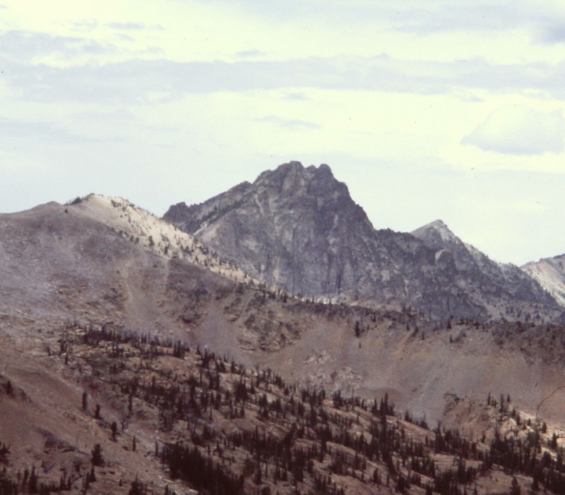 Mount Loening from the ridge between it and Cabin Creek Peak.