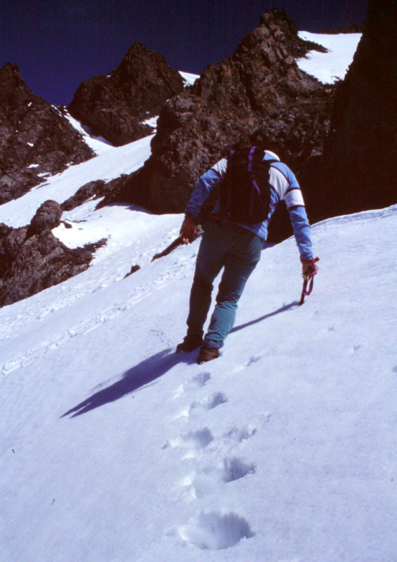 Once we had sufficient snow we left the ridge and headed northeast toward the summit ridge.