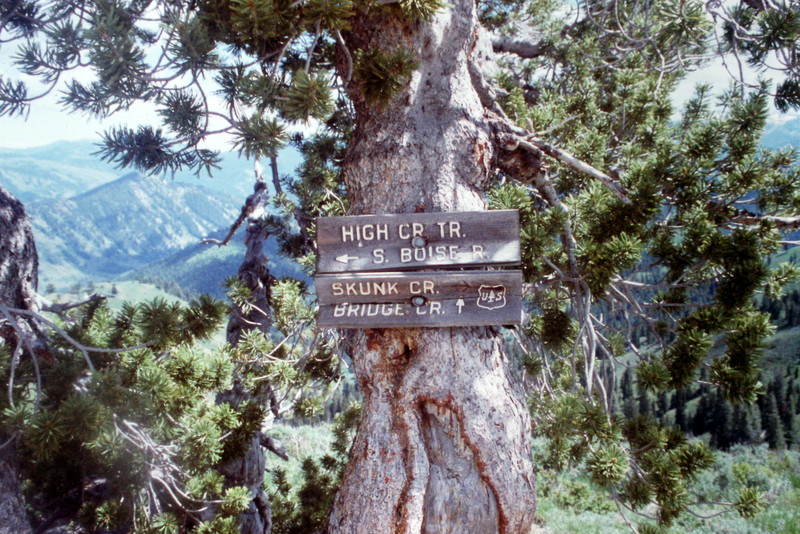 The Boise National Forest map shows many trails but they are not always easy to find as a lot of trailheads are not marked and many trails have not been maintained in years.