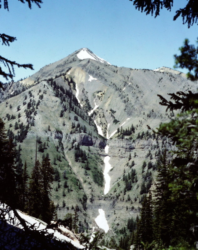 Sheep Mountain viewed from the slopes of Elkhorn Mountain.