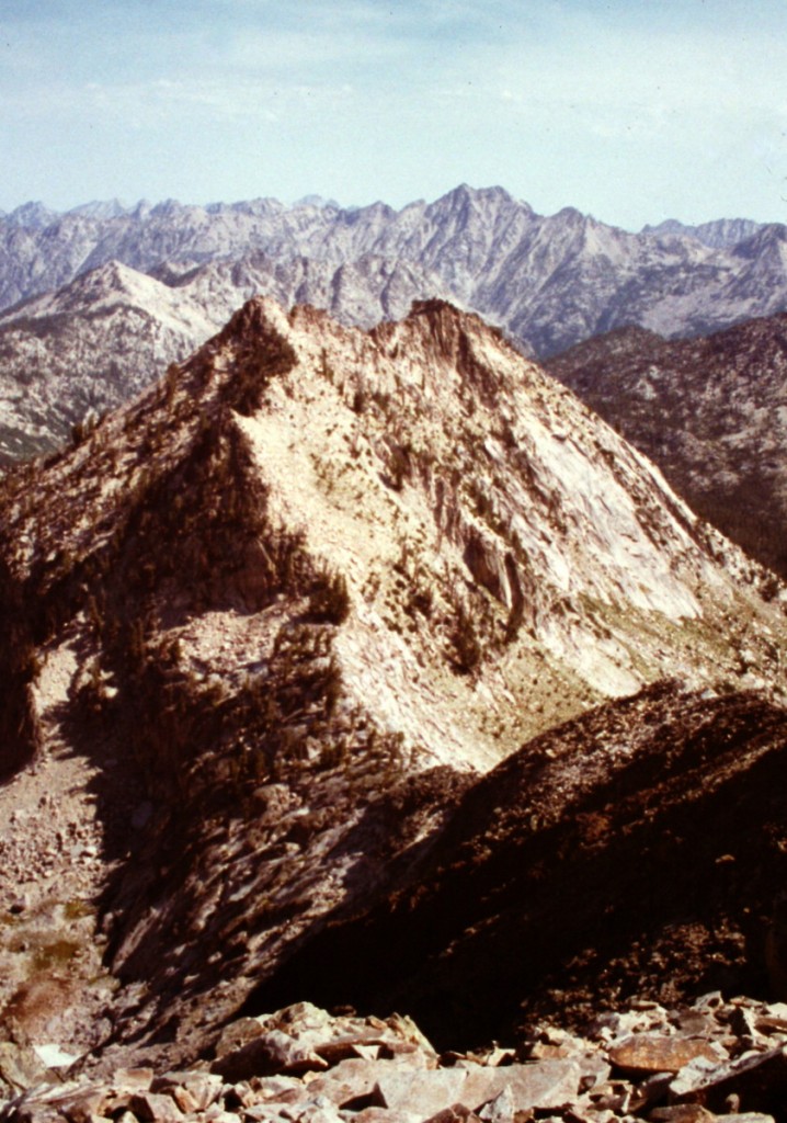 Peak 9798 viewed from Plummer Peak.
