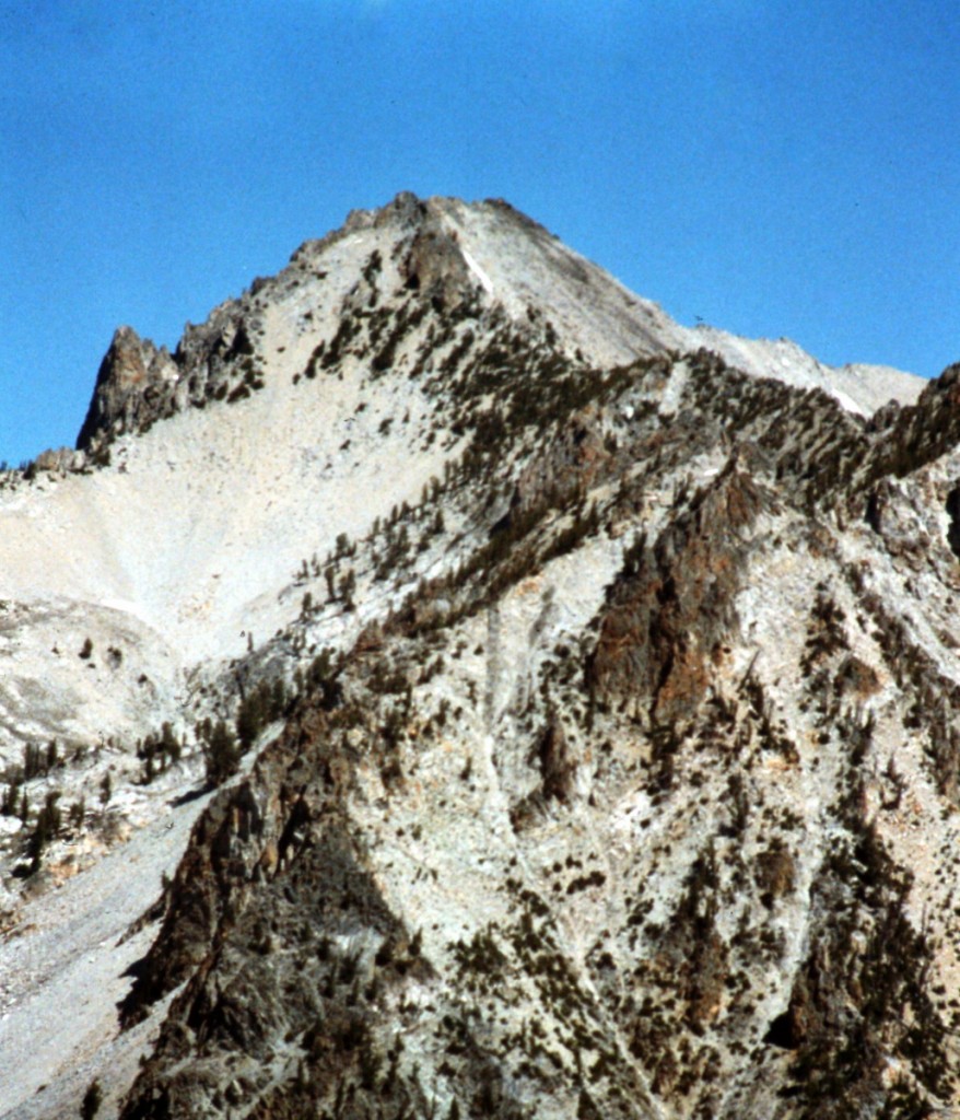 Mount Carter viewed from the upper reaches of the Fishhook drainage.