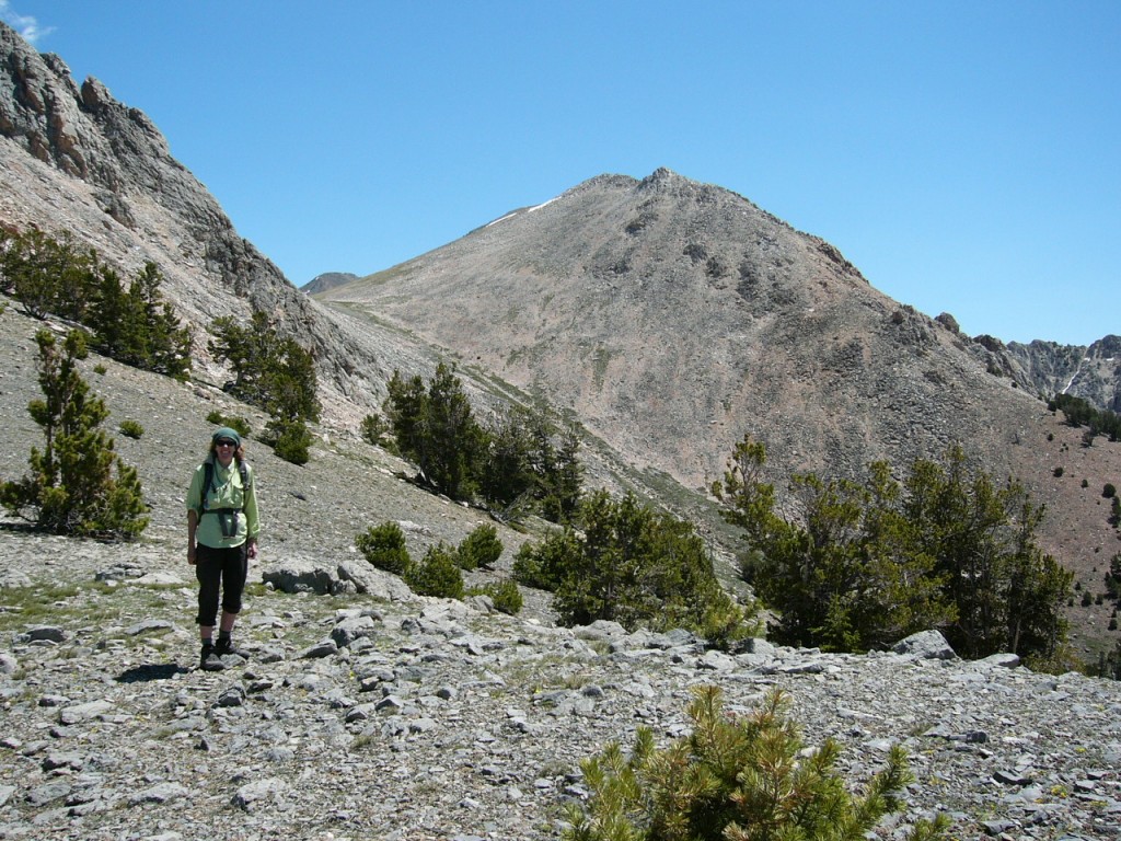 Peak 10695 from southwest ridge of Nicholson.