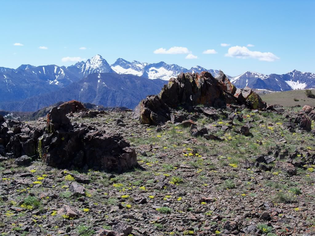 Pioneer peaks L to R include: Gabriel's Horn, Devils Bedstead 11865', Goat, Hyndman, Salzburger, original Devils 11051', The Phi Kappas. View from the uncairned summit of Bartlett Mountain. No sign of previous human visitation could be found above the 8800' level. A discreet cairn was placed on 7/7/10. Thanks to Mrs Sally Johnson of Barton Flats for helping with some of the historical details. Rick Baugher Photo