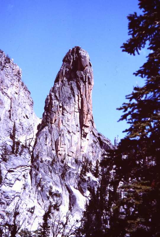 The Rust Nail from Harbor Lake.