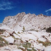 This photo shows the south face of Mount Sevy. The summit block is on the left side of the high point.