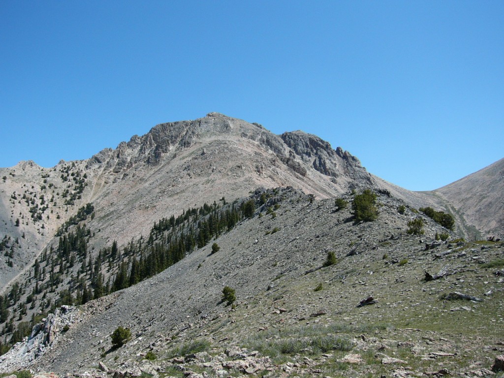 The Summit Block of Nicholson Peak.