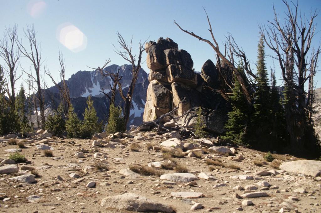 The summit plateau of the Elephant's Perch.