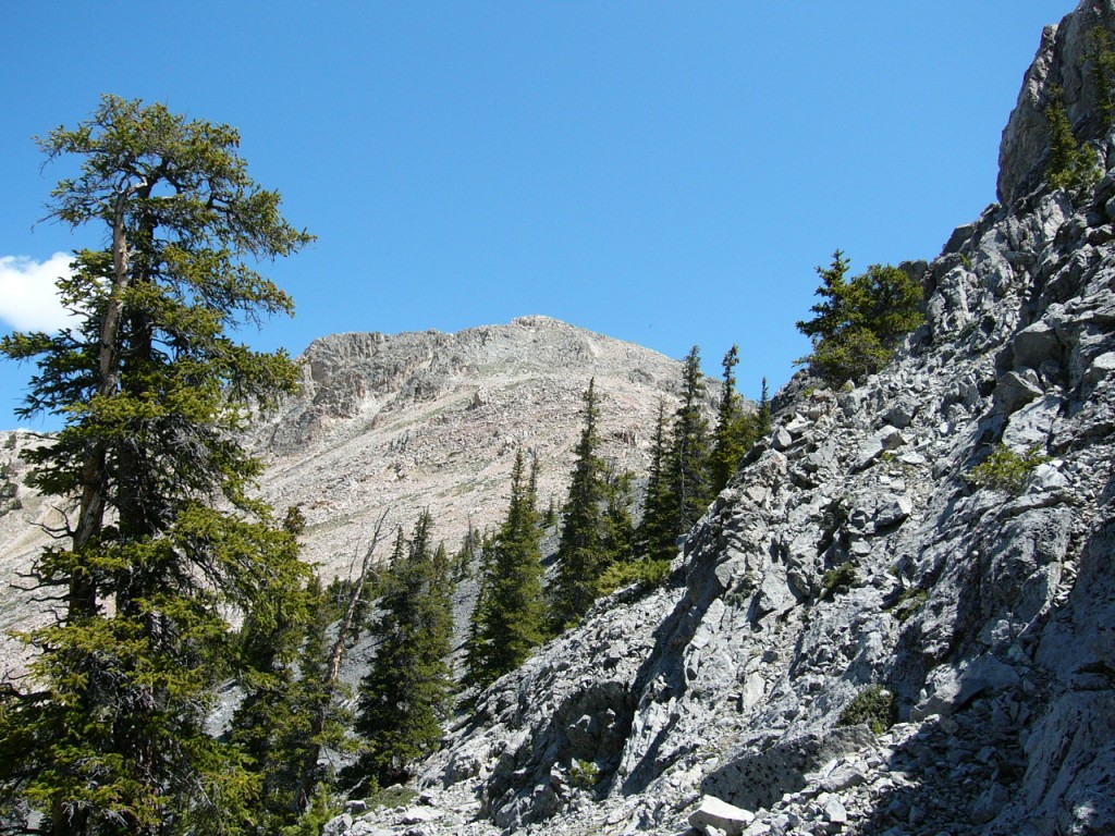 The upper section of southwest ridge of Nicholson.