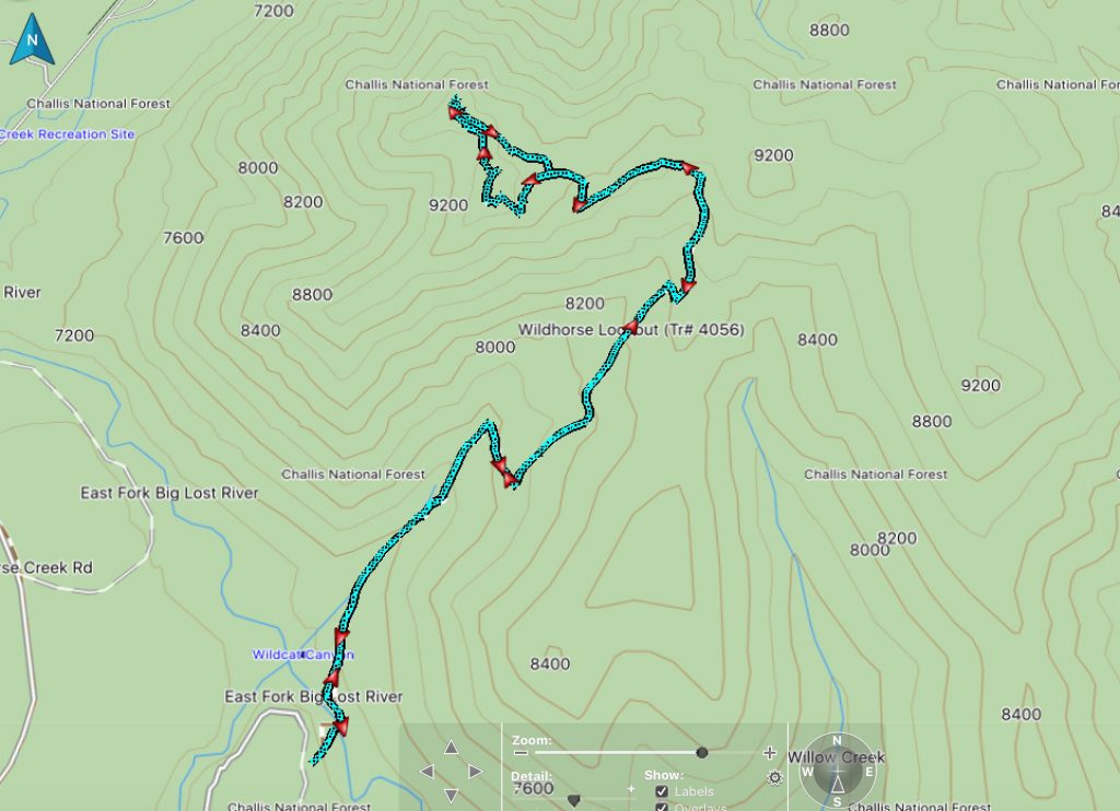 Climber's track - Steve Mandella