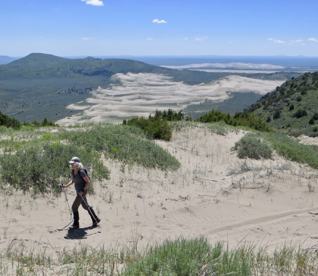 Hiking along the ridge toward the summit of Juniper Hills High Point. Steve Mandella photo. 