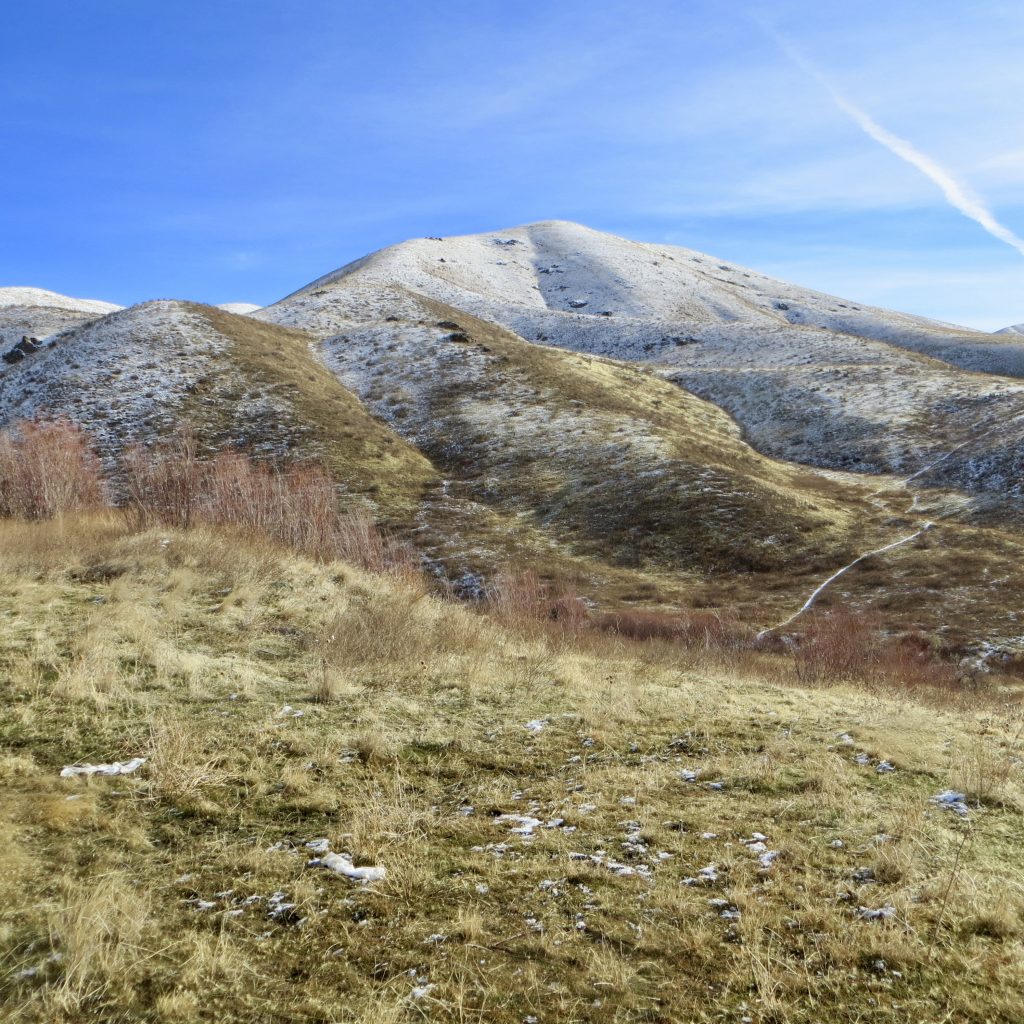 Kodiak Peak from Highway 21. Steve Mandella photo.