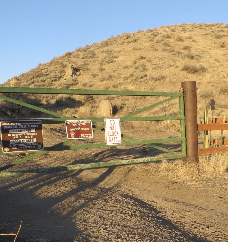 photo of a hunting gate