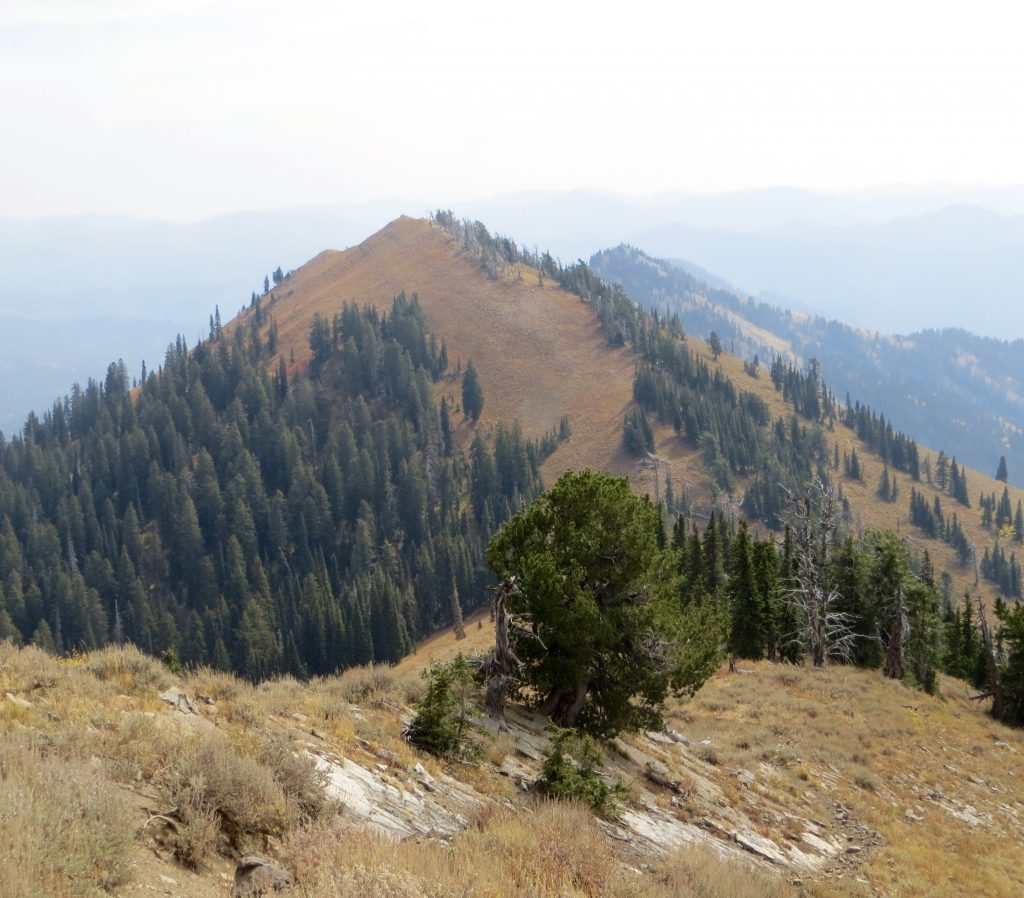 Peak 8619 from Piney Peak. Steve Mandella photo. 