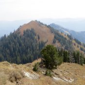 Peak 8619 from Piney Peak. Steve Mandella photo.