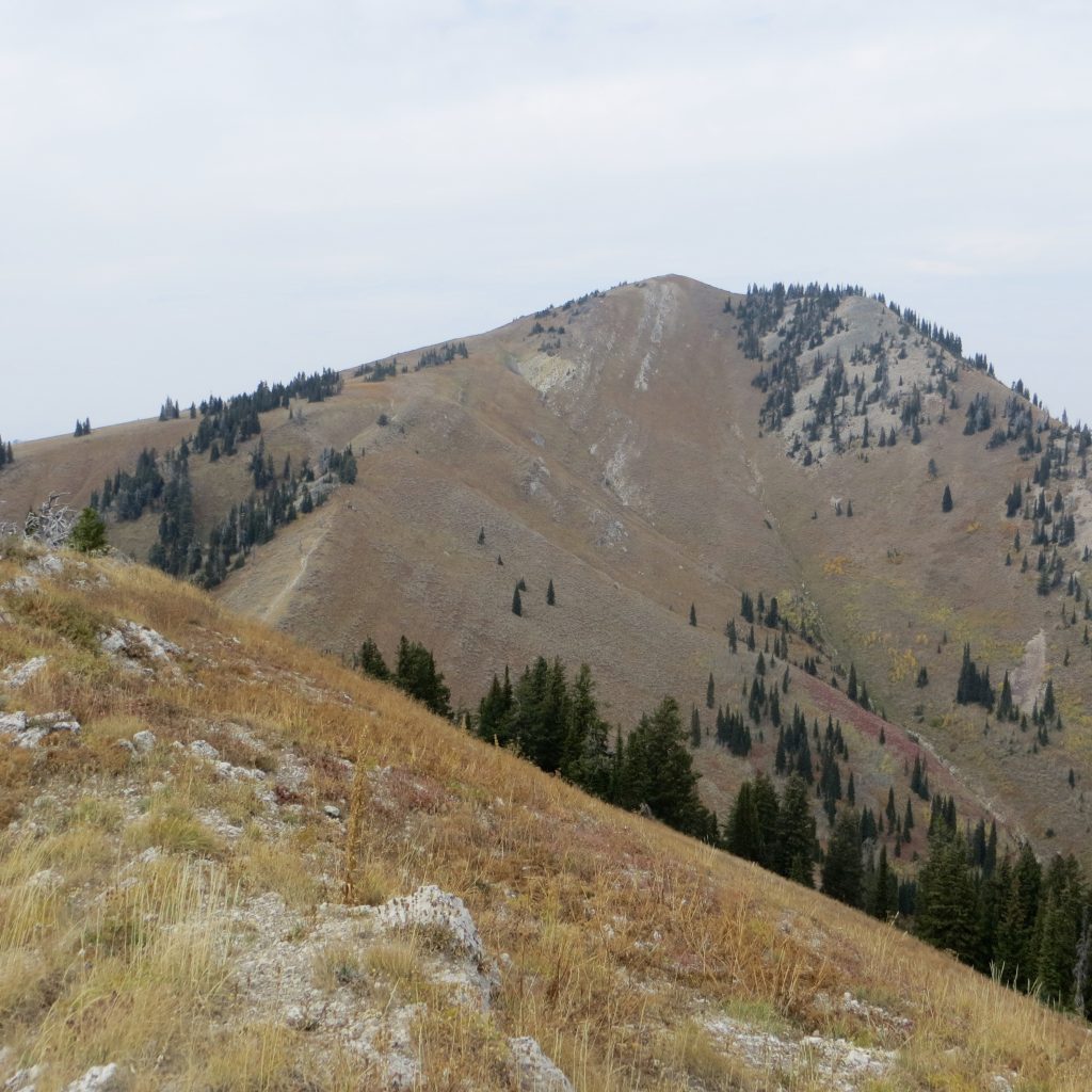 Piney Peak from Peak 8619. Steve Mandella photo. 