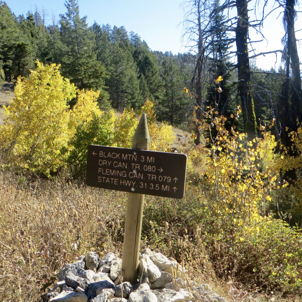 Trail signage. Steve Mandella photo.