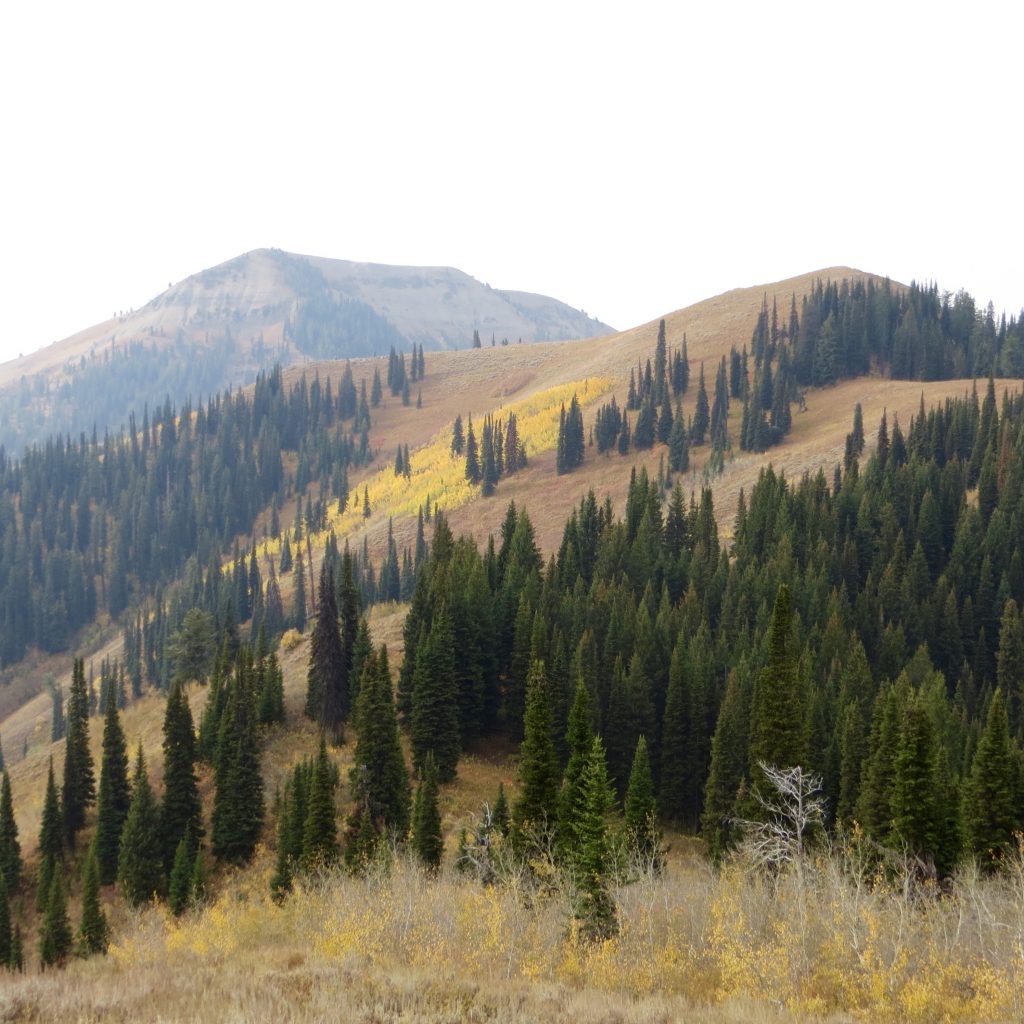 Black Mountain and Chicken Peak. Steve Mandella photo. 