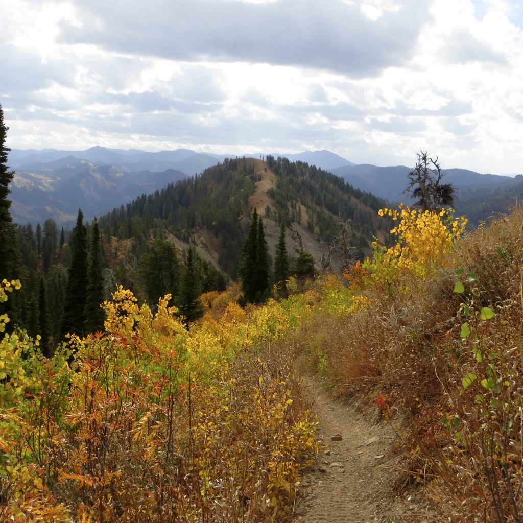 Peak 7978, photo Steve Mandella