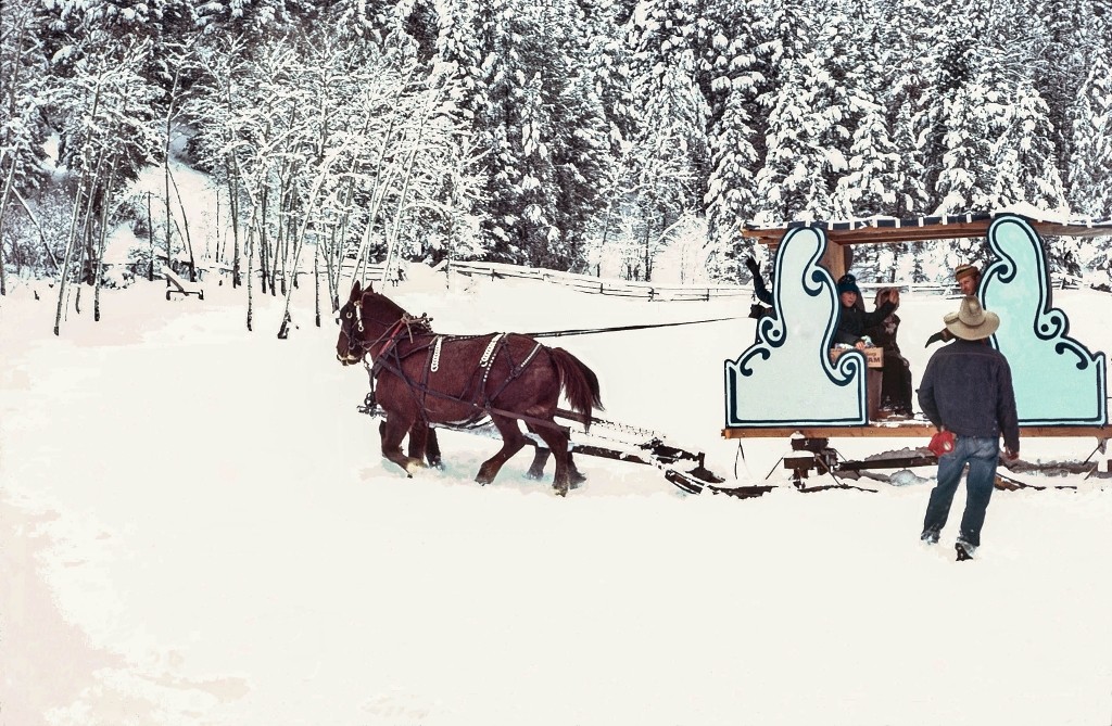 Chuck and Shorty at work pulling a sled. Joe Leonard Photo 