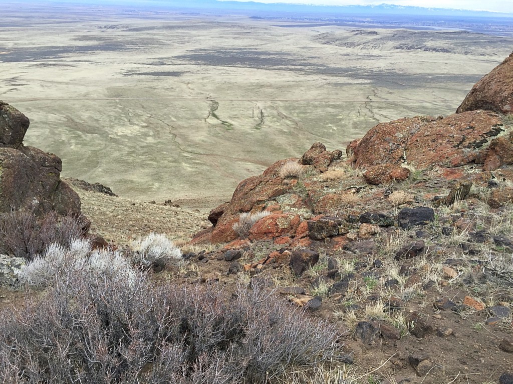 Looking down the gully.