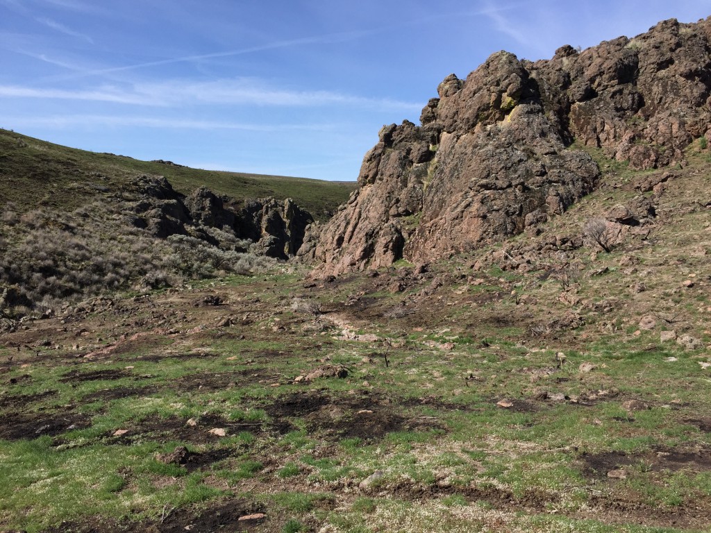 The upper Jump Creek canyon. There was a lot of sign of wildhorses along our route.