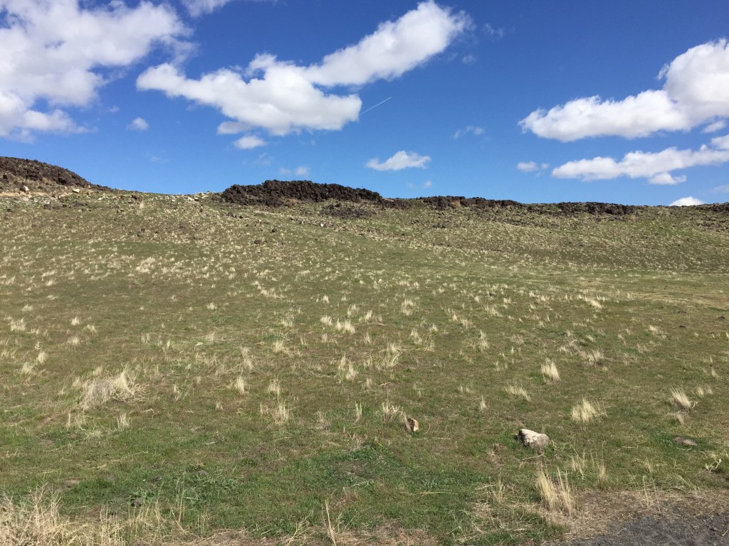 The wild south slope of Pickles Butte.