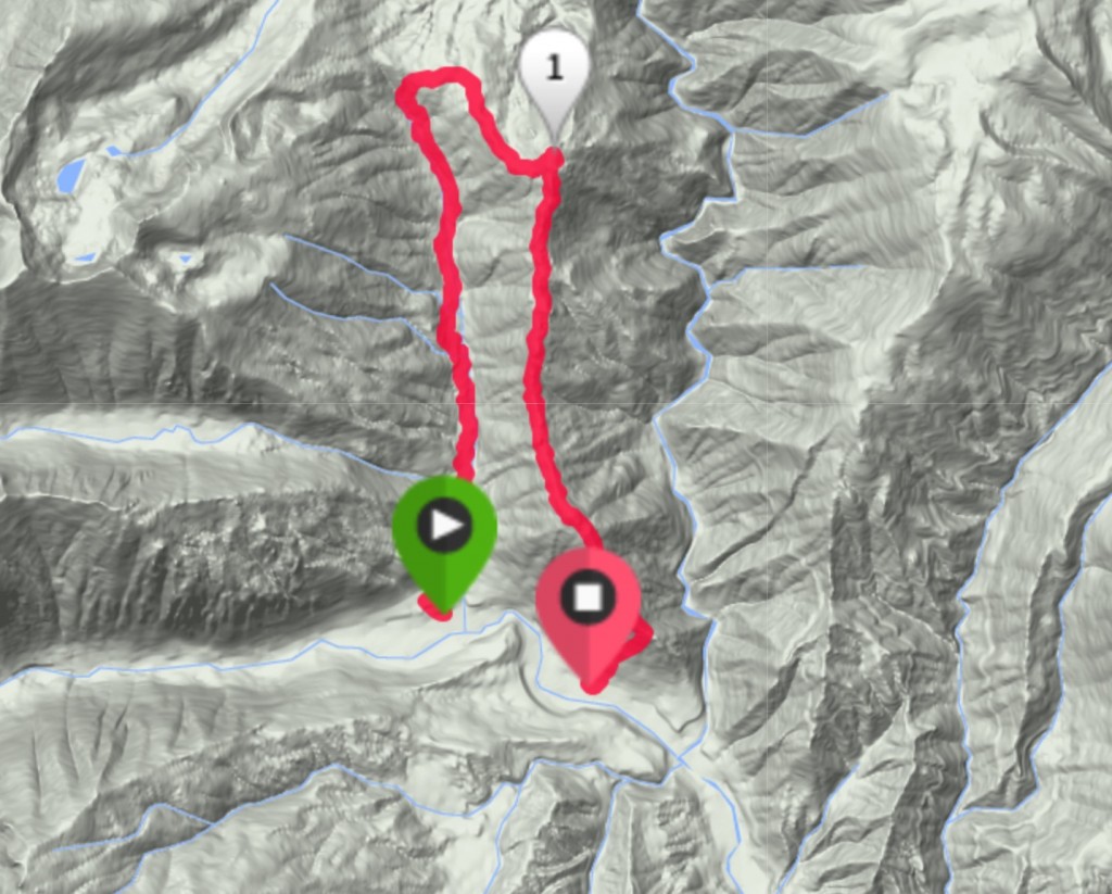 My GPS track. We ascended via the trail and descended via the peak's long, brushy, deadfall covered south ridge.