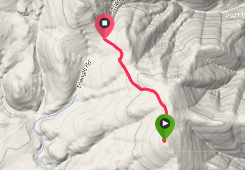 My GPS track from Toy Pass to the summit.