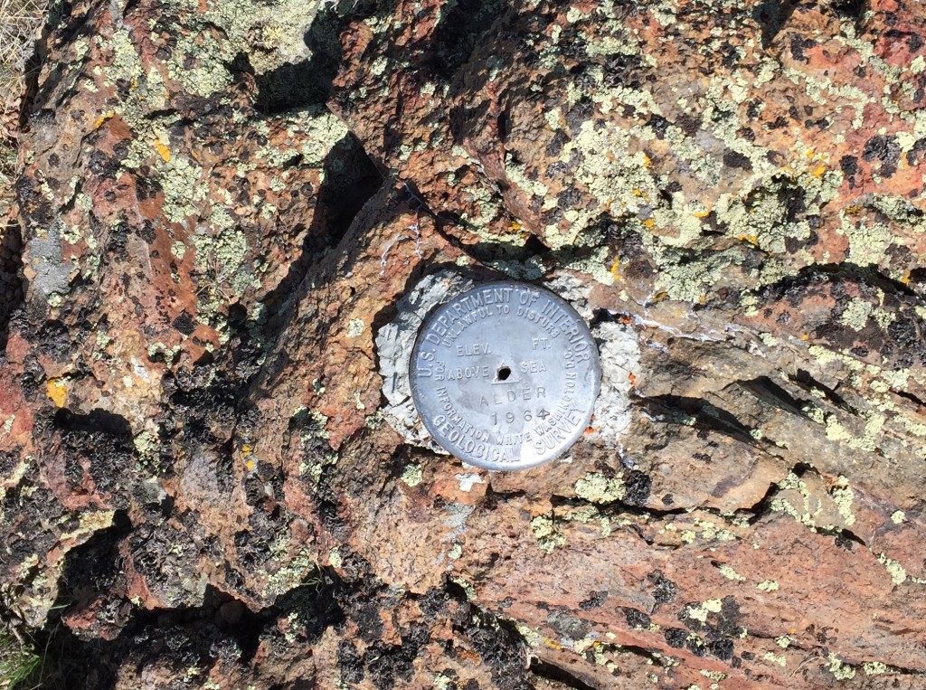 The Alder benchmark on the summit.