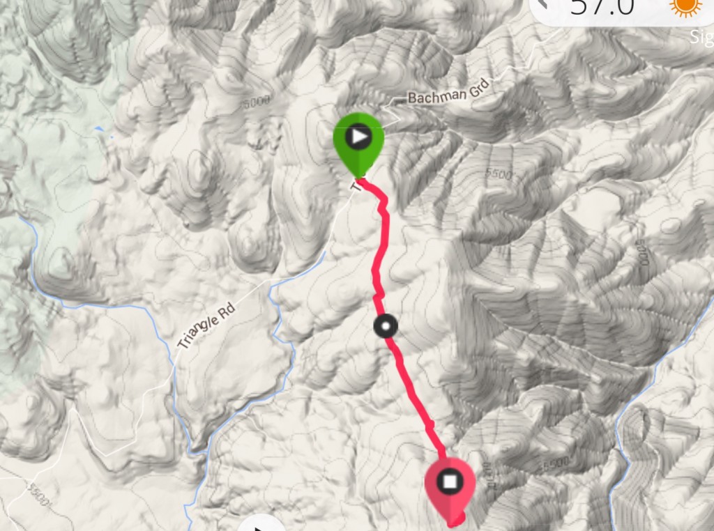 My GPS track from Toy Pass to the summit.