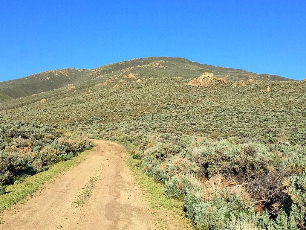 Approaching Doyle Mountain from the northeast.