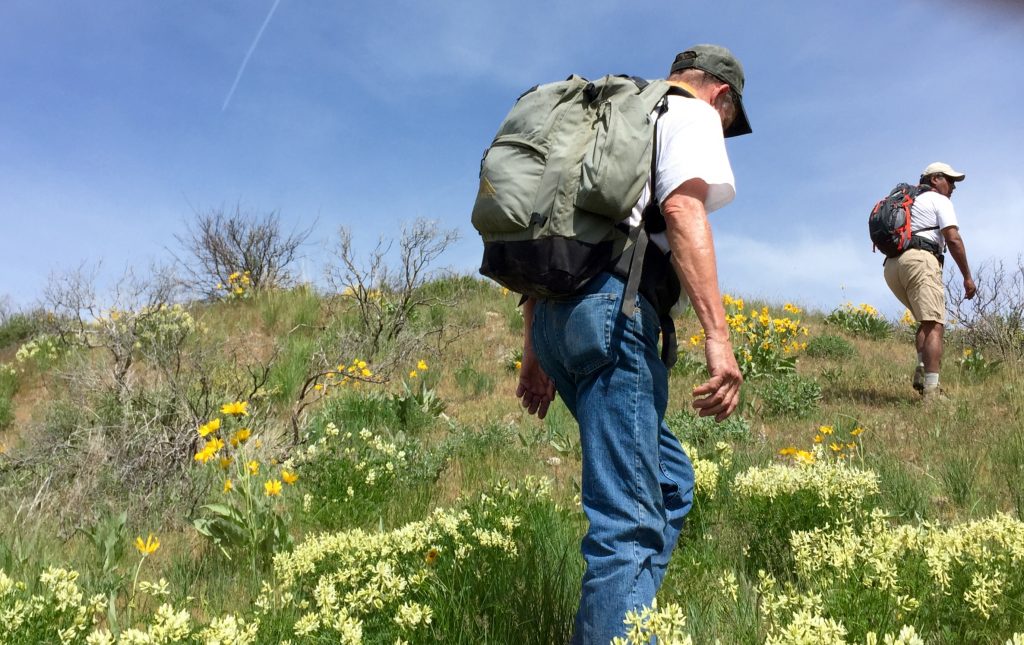 The east slopes are not exceedingly steep and are a riot of wildflowes in the Spring.