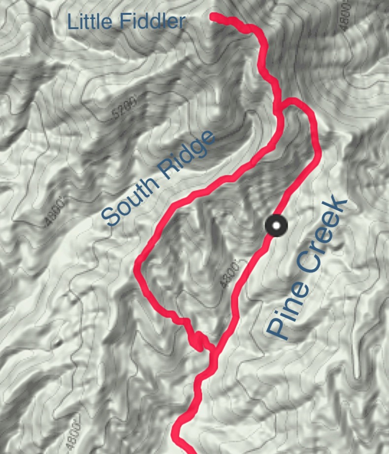 My GPS track. We climbed up the south ridge using most of FST-323 and descended the ATV trail in Pine Creek. We started at Cottonwood Creek because I did not want to drive across the creek which was still running high. Our total route was 7.0 miles with 1400 feet of gain. Your results will no doubt vary.