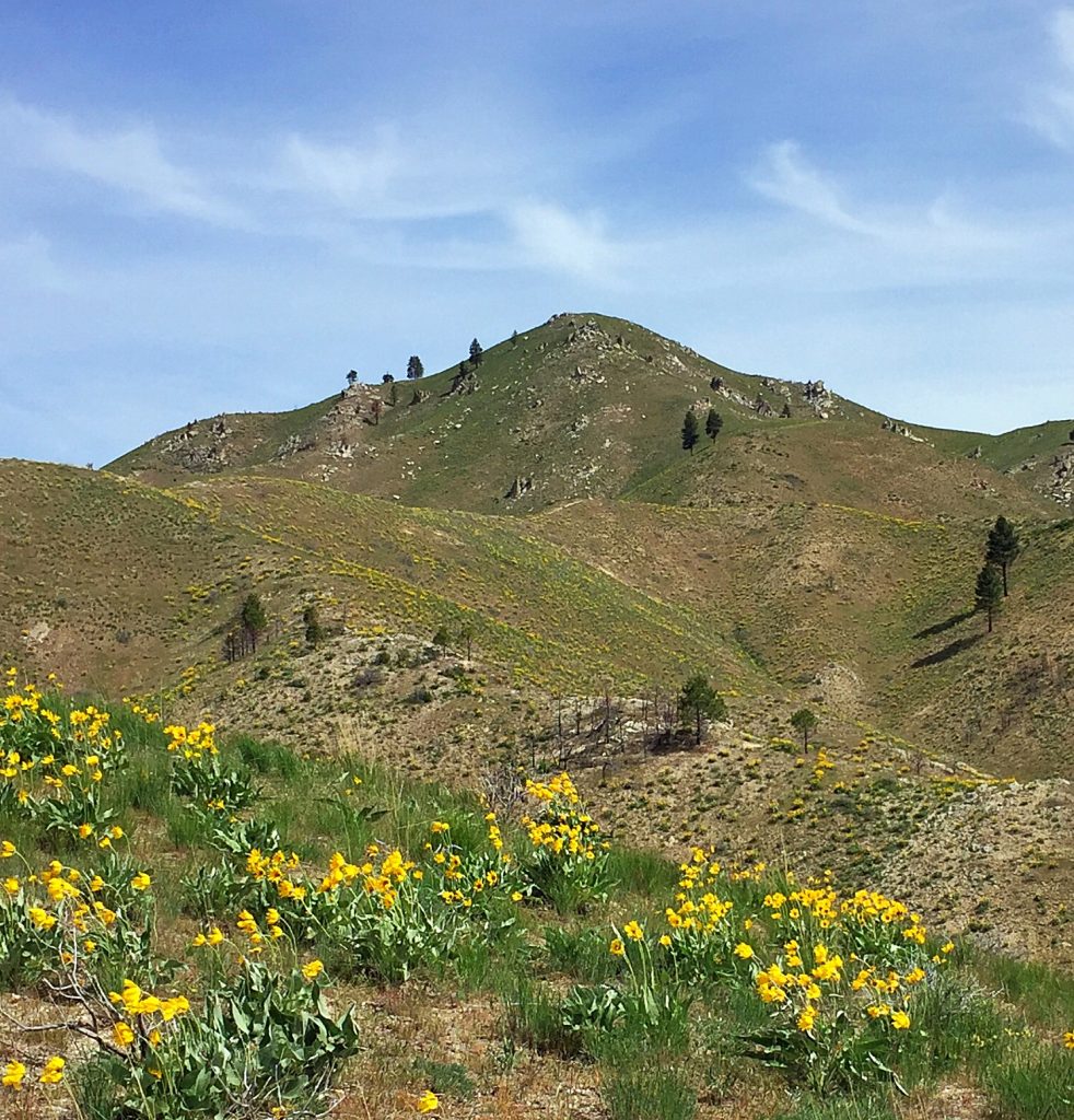 Little Fidler viewed from the southeast.