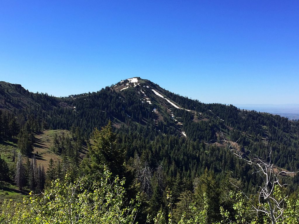 Hitt Peak from the north.