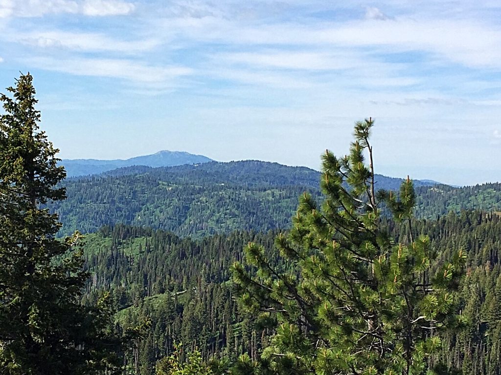 Peak 7057 from Peak 7201 wirh Shafer Butte in the background.