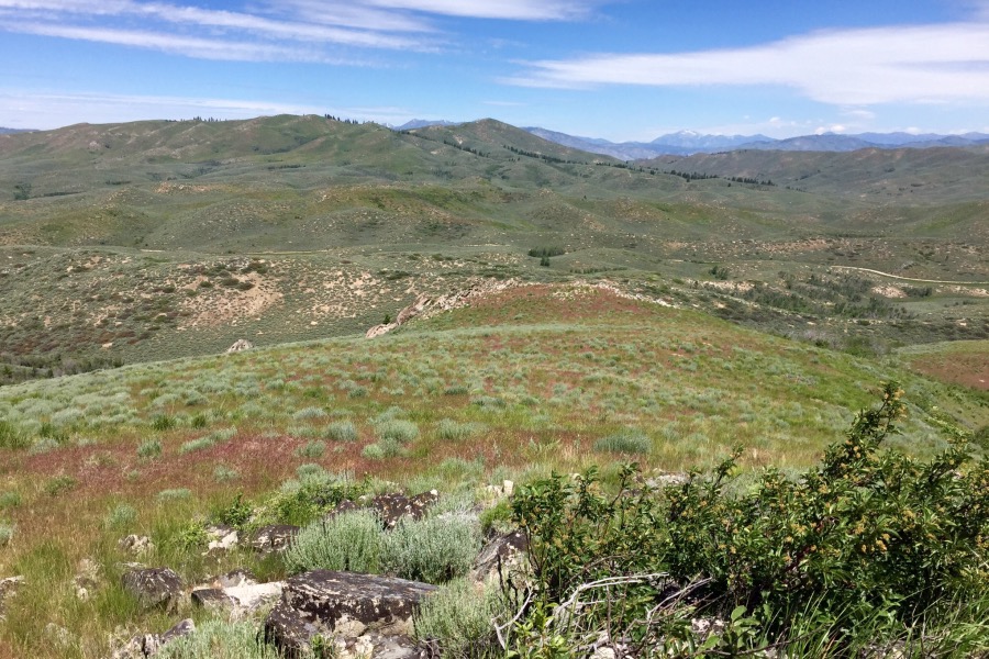 Looking north from the summit down the route of ascent. Wood Creek Mountain is inmthe background.